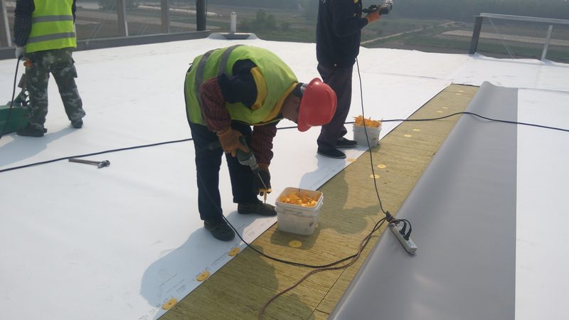成都市场上的防水卷材种类繁多，主要包括以下几种型号：